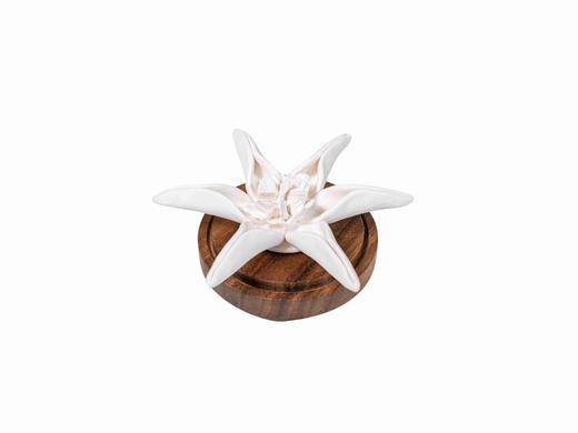 Keramický aroma difuzér Clematis